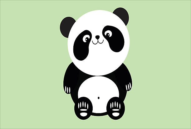 Panda vector art illustration