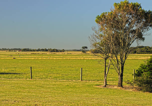 istock Year Australian rural landscape. 598935722