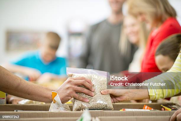 Sorting Non Perishable Foods Stock Photo - Download Image Now - Food, Food Bank, Donation Box