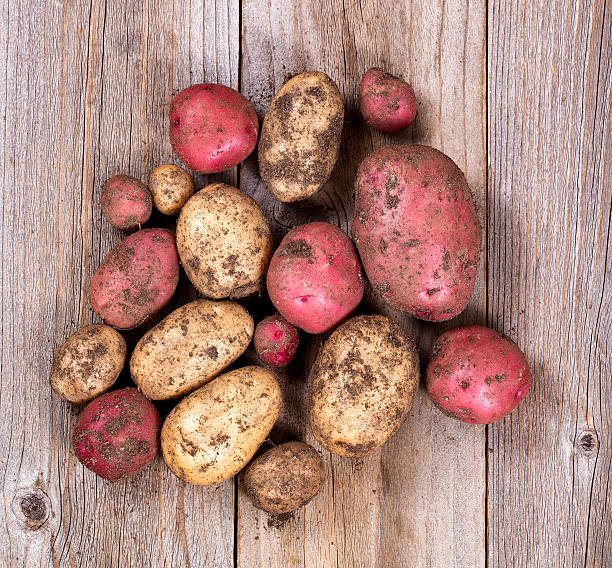 istock Raw uncleaned potatoes on rustic wooden boards 598949964
