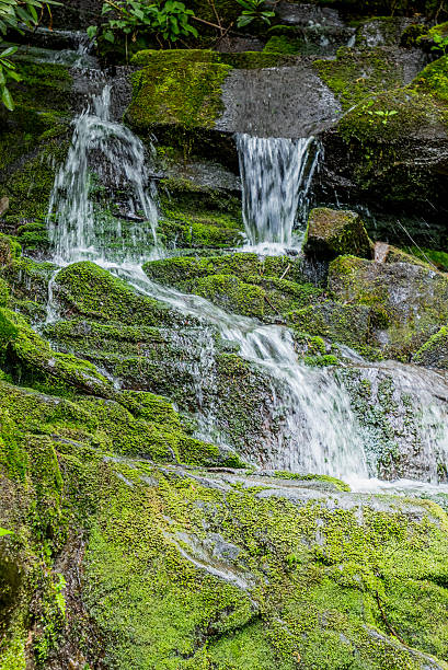 cachoeira sobre grandes rochas de mossy em spring creek - gatlinburg waterfall smoke usa - fotografias e filmes do acervo