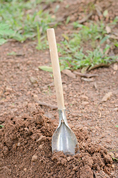 istock Shovel in the ground 598953496