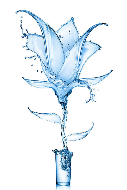 istock flower made of water splashes 598959116