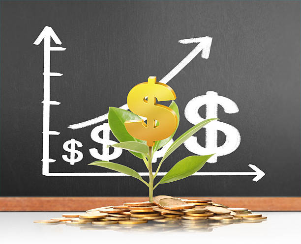 istock green plant on  gold coins 598959180