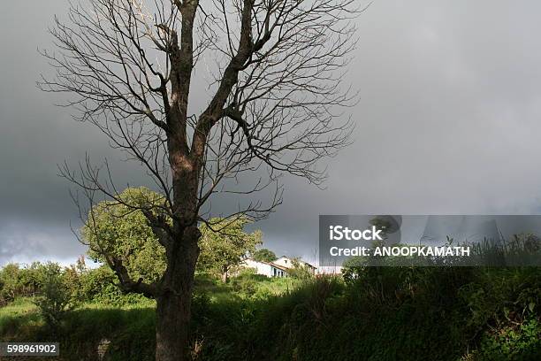 Village In Ranikhet In India Stock Photo - Download Image Now - Asia, Cloud - Sky, Green Color