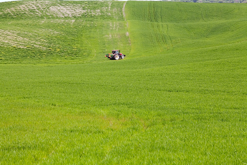 Tractor is working the filed in the Crete Senesi. The Crete Senesi is an area of Italian region Tuscany to the south of Siena. it consist of a range of hills and woods among villages.