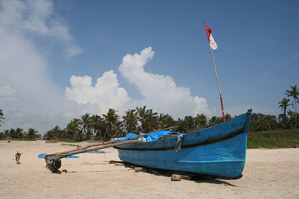 고아의 전통 어선 - colva beach 뉴스 사진 이미지