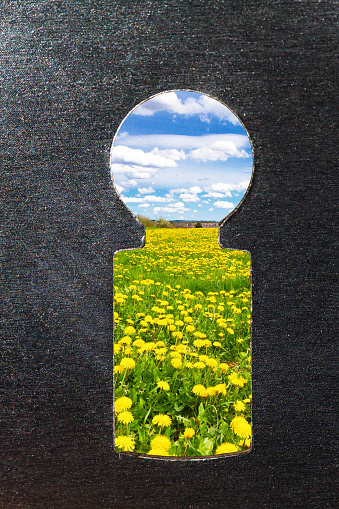Abstract photo of a keyhole and spring landscape in background