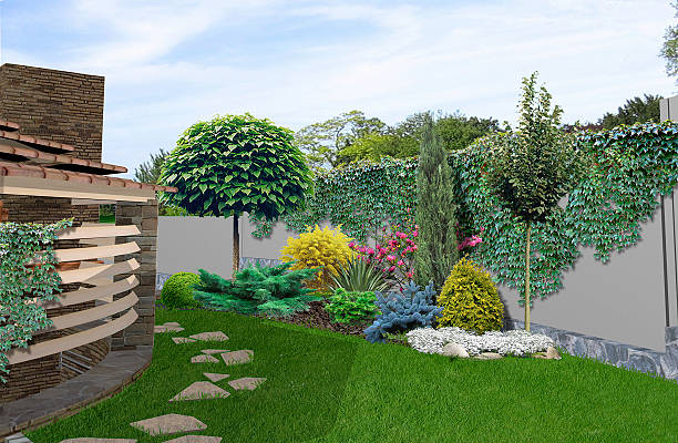 Patio horticultural background, 3d rendering Well-thought planning alfresco living area. Green design features. Boston Ivy stock pictures, royalty-free photos & images