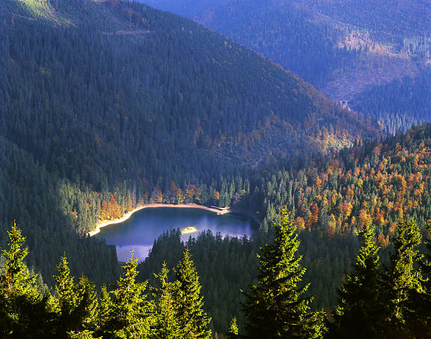 istock Synevyr Lake in autumn time 599106676