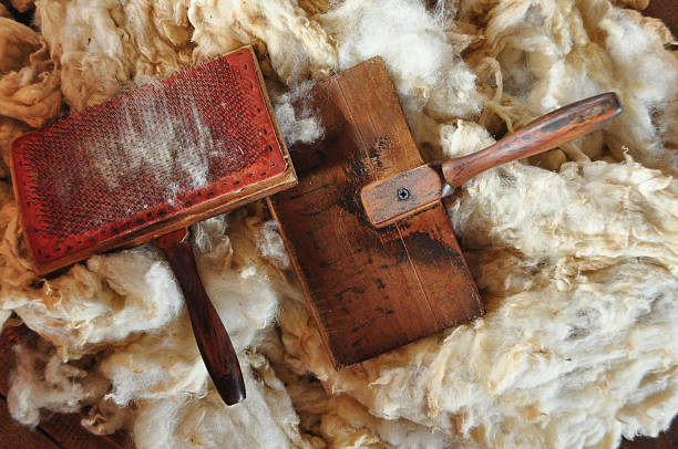 Wool Shearing Collection 2,900+ Shearing Wool Stock Photos, Pictures & Royalty-Free Images - iStock