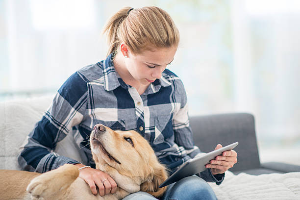 istock Watching and Video and Petting a Dog 599114866