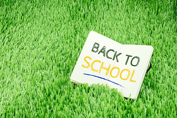 istock Back to school word on open book on green grass 599115184