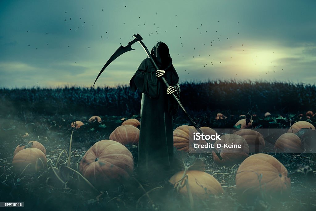 Grim Reaper Grim Reaper walking in pumpkin feild. Halloween theme. Grim Reaper Stock Photo