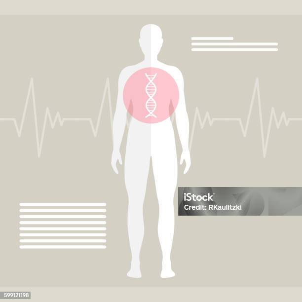 Dna Man Vector Vector Human Dna Stock Illustration - Download Image Now - Abstract ...
