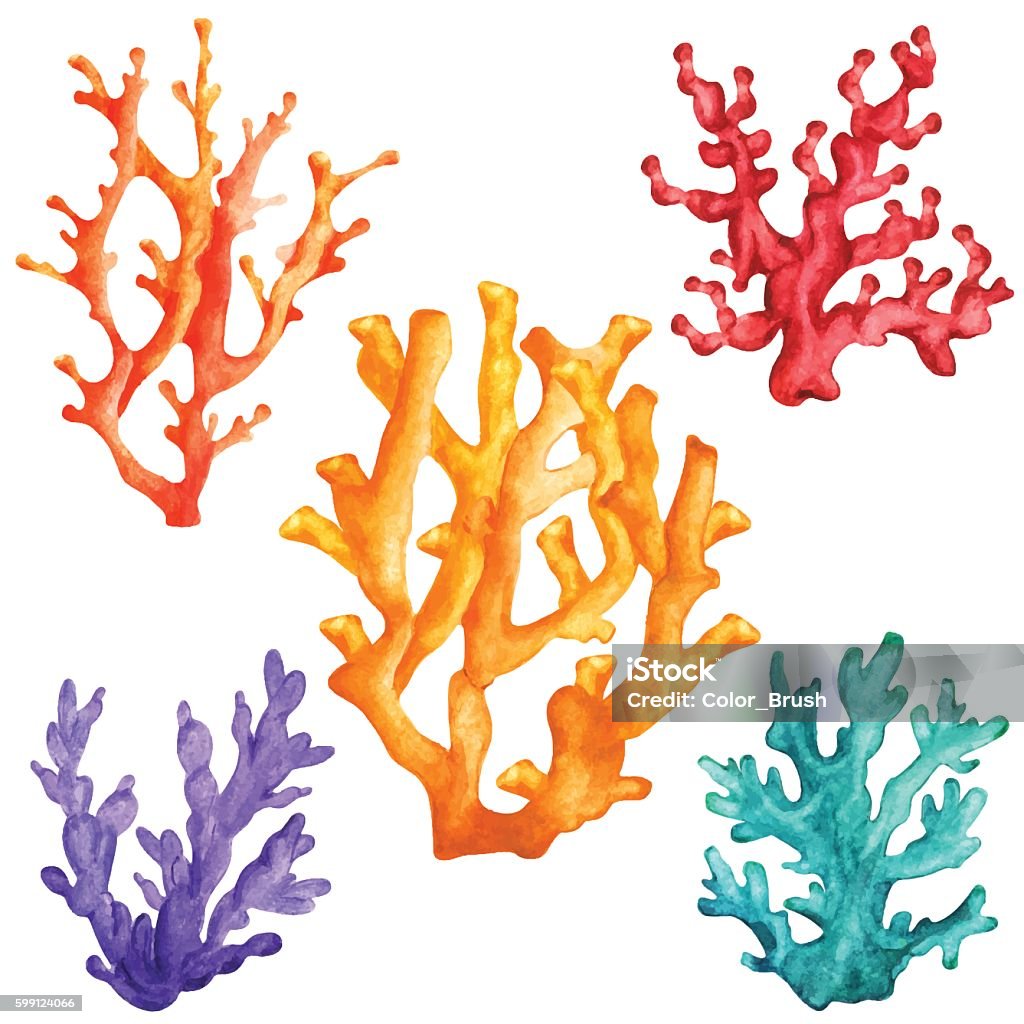Watercolor colorful corals Watercolor colorful corals set closeup isolated on white background. Hand painting on paper Coral - Cnidarian stock vector