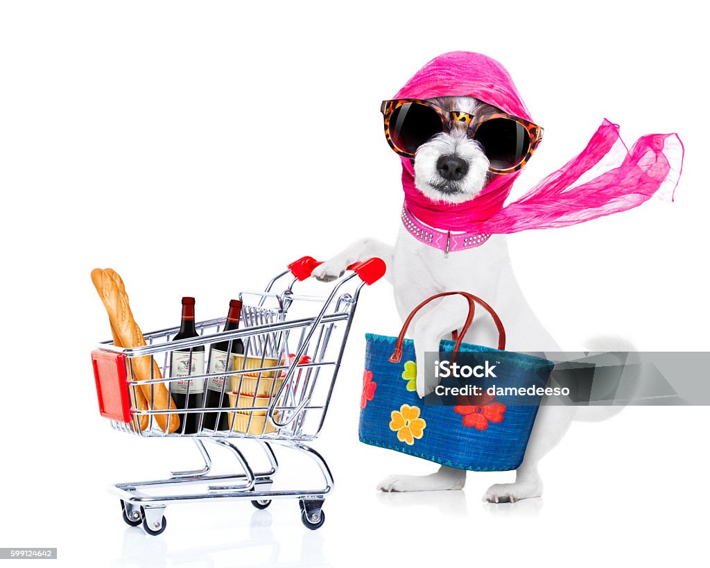 shopping-diva Hund  - Lizenzfrei Hund Stock-Foto