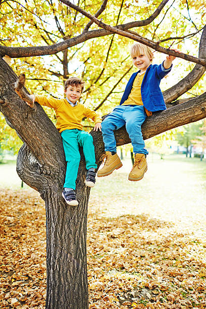 istock Portrait of Boys on Autumn Tree 599126034
