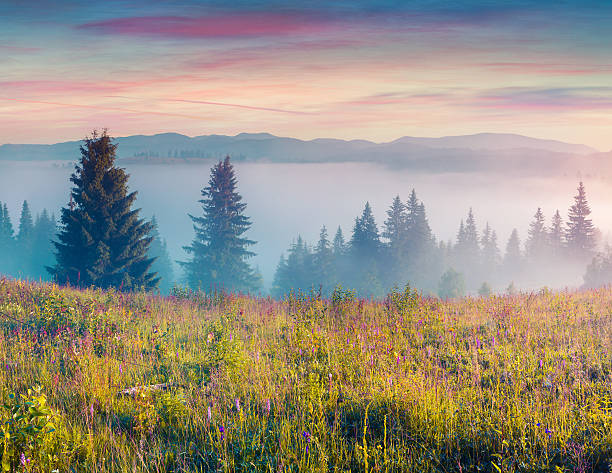 istock Colorful morning scene in the Carpathians. 599127858