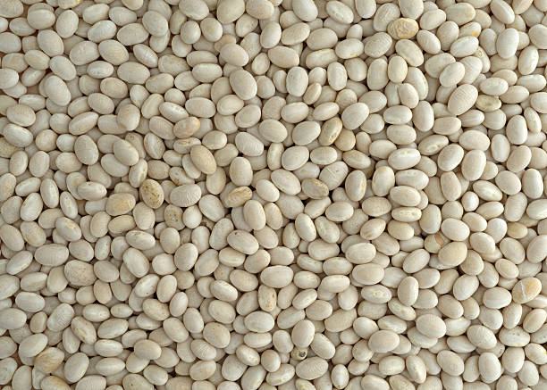 istock Close view of organic navy beans 599129202