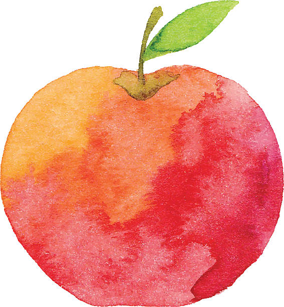 illustrazioni stock, clip art, cartoni animati e icone di tendenza di acquerello apple - mela illustrazioni