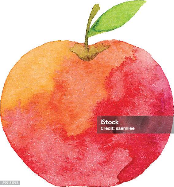 Watercolor Apple Stock Illustration - Download Image Now - Apple - Fruit, Watercolor Painting, Illustration