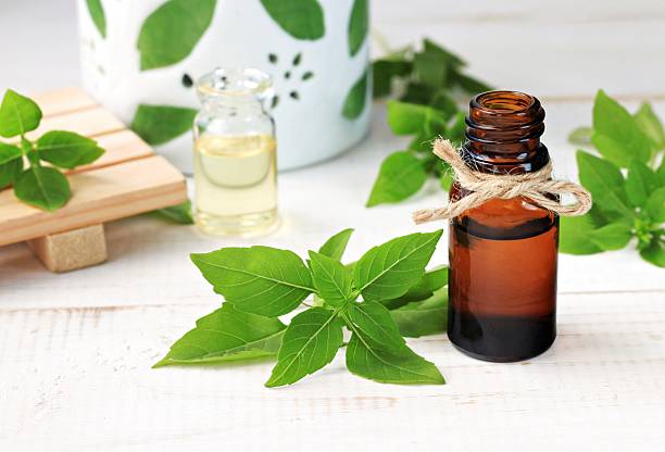 istock Basil essential aroma oil with aromalamp 599132804
