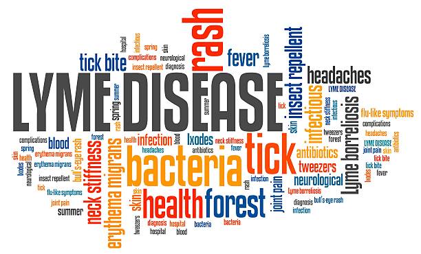 istock Lyme borreliosis 599136658