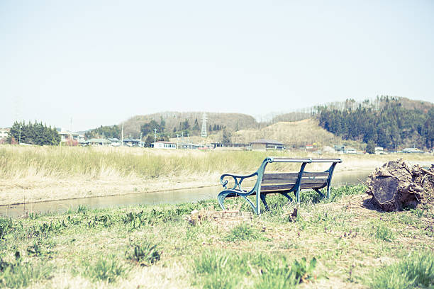 Scenery with the bench