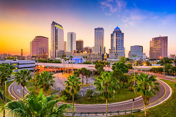 skyline di tampa, florida - florida foto e immagini stock