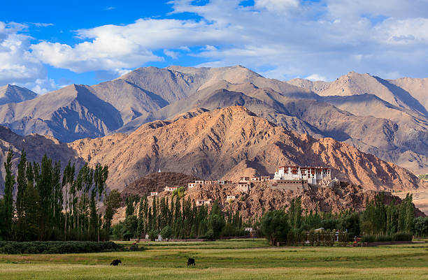 монастырь стакна (стакна гомпа), лех ладакх, джамму и кашмир, - gompa стоковы�е фото и изображения