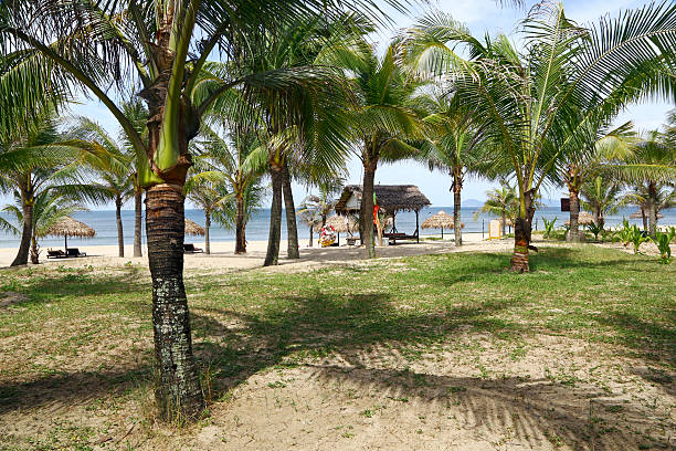 istock Seaside close to Danang, Vietnam 599139554
