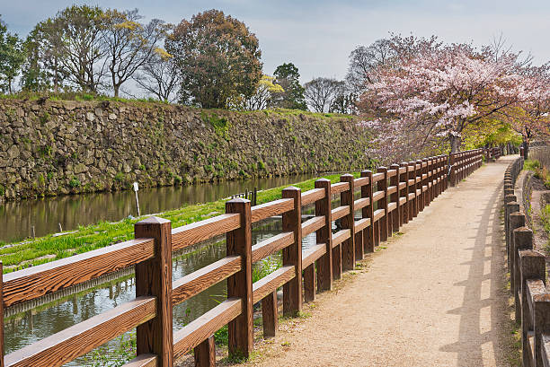 istock Idyllic landscape of Japan 599139576