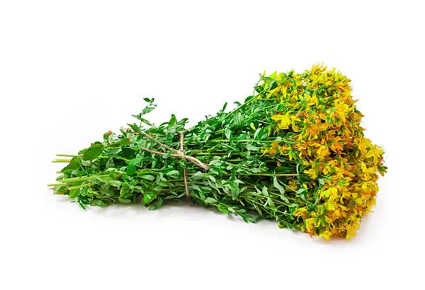 Bunch of hypericum perforatum, St. john's worth herb isolated on a white background