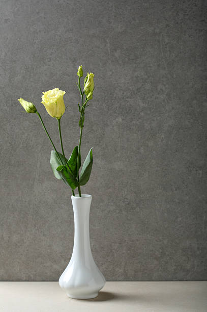 istock One flowers in white vase 599144892
