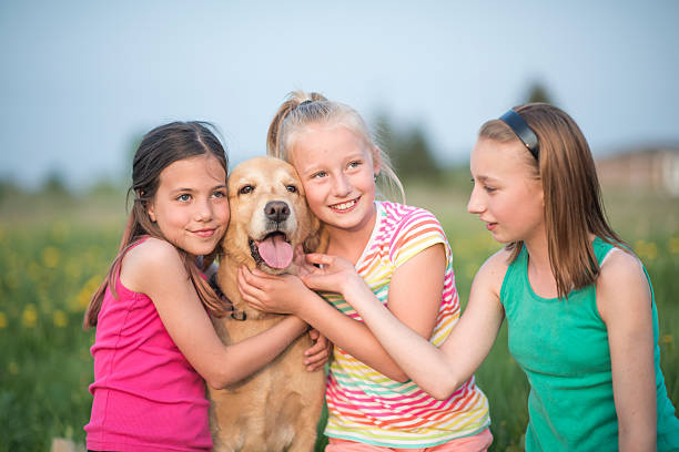 istock Petting Their Dog at the Park 599238432