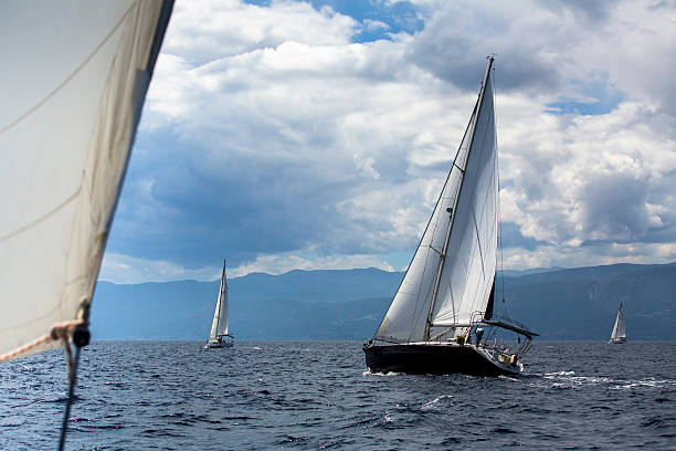 istock Sailing regatta in the wind through 599241434