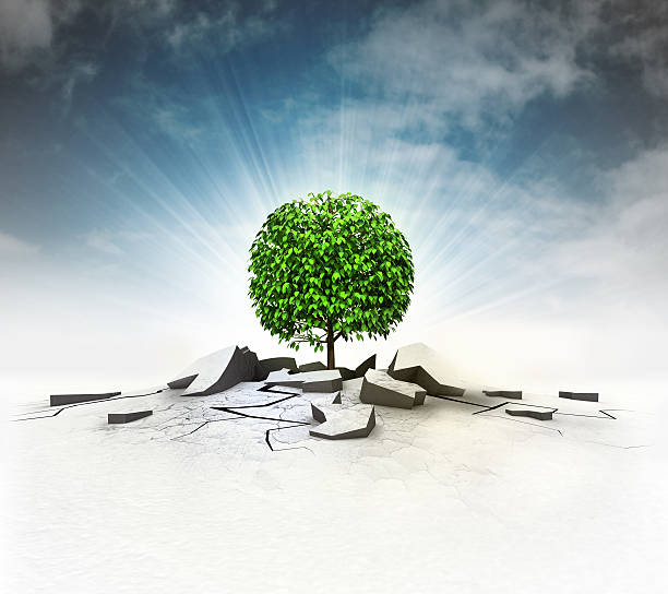 istock leafy tree stuck into ground with flare and sky 599244124