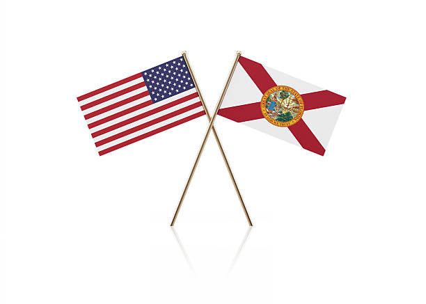 Tiny American and Florida State flag pair on gold sticks. Flag pair is standing on a reflective surface. Isolated on white background. With clipping path.