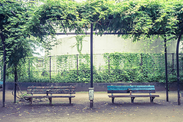 Scenery with the bench