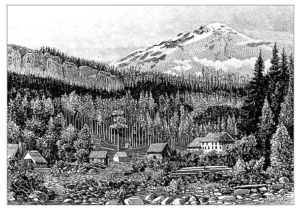 Antique illustration of Mont Rainier, Tacoma Antique illustration of Mont Rainier, Tacoma mt rainier stock illustrations