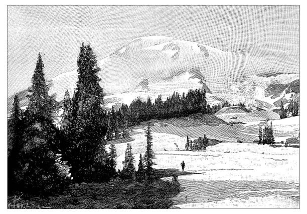 Antique illustration of Mont Rainier, Tacoma Antique illustration of Mont Rainier, Tacoma mt rainier stock illustrations