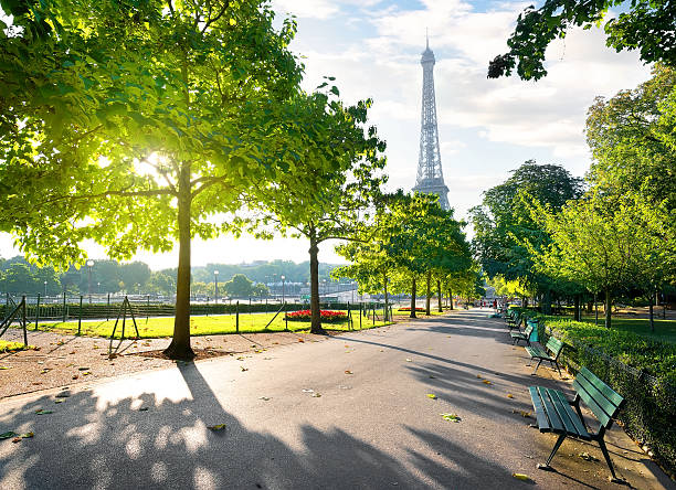 istock Sunny morning in Paris 599258728