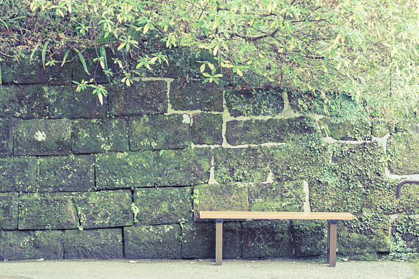 istock Scenery with the bench / In front of old wall 599260496