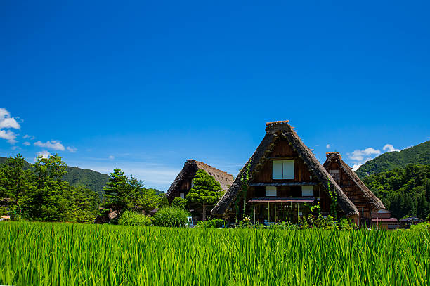 Historical Japanese village Shirakawago in spring Traditional and Historical Japanese village Shirakawago in spring gifu prefecture stock pictures, royalty-free photos & images