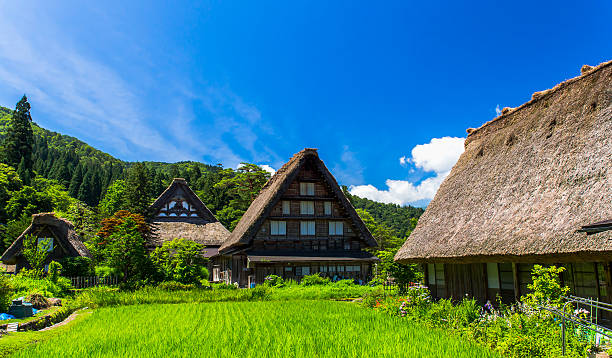 Historical Japanese village Shirakawago in spring