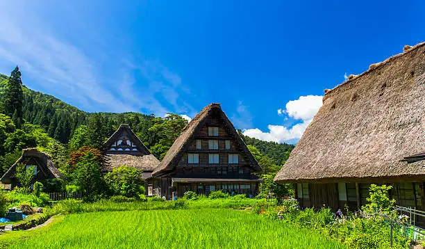 Traditional and Historical Japanese village Shirakawago in spring