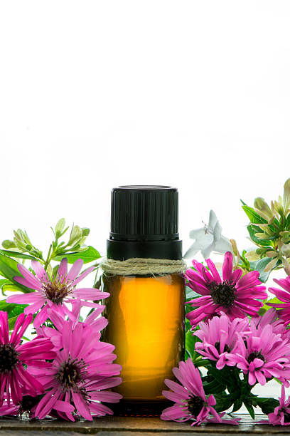 istock Essential oil, empty tags and pink flowers 599264138