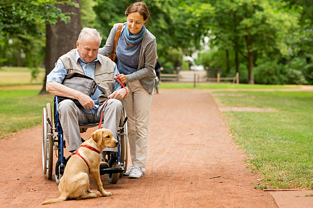 senior homme assis sur un fauteuil avec le nourricier - senior adult dog nursing home pets photos et images de collection