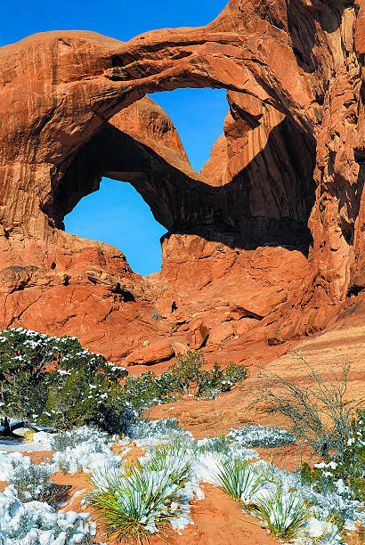 istock Double Arch and Yucca, Arches National Park 599269360